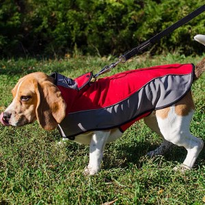 Нейлоновая шлея накидка для бигля «Raincoat Cape»